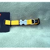 Red Dingo Dog Collar, Small
