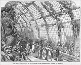 Photographic Prints of Horticultural Society conservatory, Chiswick, London from Mary Evans