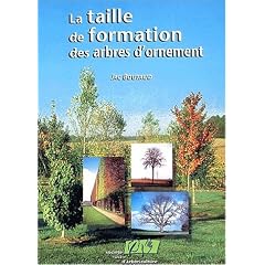 La taille de formation des arbres d'ornement