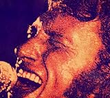 Revue Johnny Hallyday  / Palais Des Sports 1971 (Live)