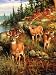 3 DEERS 79x95 Polyester Novelty Blanket By Golden Keepsakes