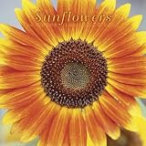 Sunflowers 2009 Wall Calendar 12 X 12