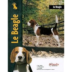 Le Beagle