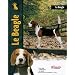 Le Beagle