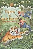Tigers at Twilight