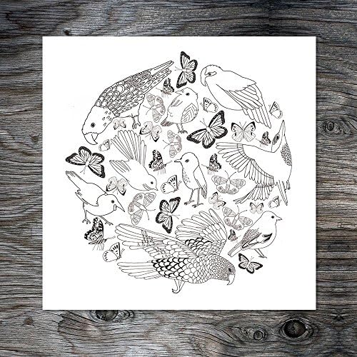 New Zealand themed illustrations for colouring (set of 6)
