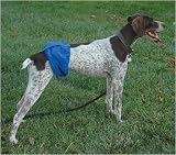 Male Doggy Wrap Blue - Xlarge
