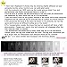 Coromose Women Sexy Stripe Lace Top Garter Belt Thigh Stocking Pantyhose