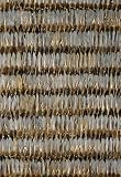 Everglades Dove by F Schumacher Wallpaper