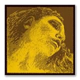 Evah Pirazzi Gold Violin String Set Gold G Loop E