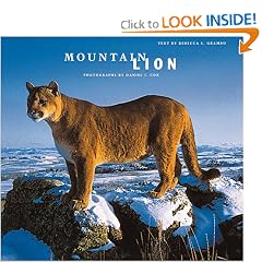 Mountain Lion