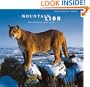 Mountain Lion
