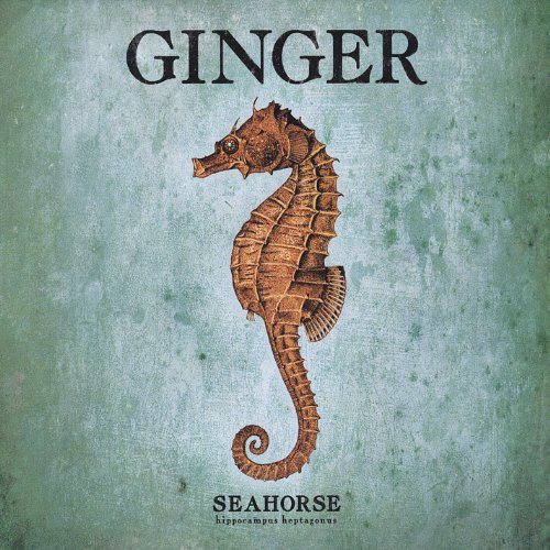 Ginger - Seahorse - Zortam Music
