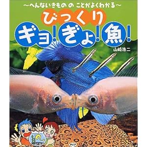 �т�����M��!����!��!�\�ւ�Ȃ������̂̂��Ƃ��悭�킩��