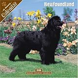 Newfoundland 2008 Wall Calendar
