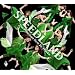 SPEEDLAND -The Premium Best Re Tracks-(DVD�t)