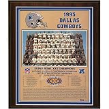 1995 Dallas Cowboys Super Bowl Champions Healy Plaque