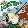 A Bluegrass Tribute To Blink-182 Performed by Honeywagon: Grass Stains