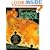 Turbulent Mirror: An Illustrated Guide to Chaos Theory and the Science of Wholeness