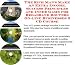 The Ultimate How To Earn Extra Money, Marketing and Success Principles for Broadband Routers Businesses 3 CD Combo Pack
