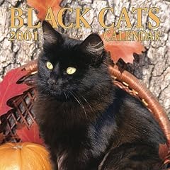 Black Cats 2001 Calendar