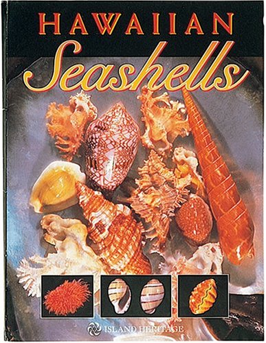 Hawaiian Seashells Hawaiian Seashells