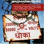 Dancing Drums by Badmarsh & Shri