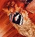 Denver Broncos Pet Bandanas