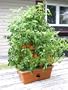 Garden Patch Grow Box Green