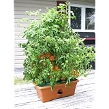 Garden Patch Grow Box Terra Cotta