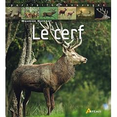 Le Cerf