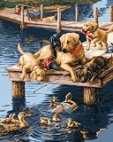 Bucilla 21685 Paint by Number, Dock Dogs