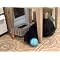 Keeping Smart dogs entertained and Lazy dogs active