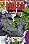 Incredible Hulk Visionaries - Peter David, Vol. 6