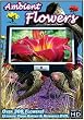 Ambient Flowers DVD - The Ultimate Video Garden & Reference DVD