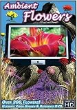 Ambient Flowers DVD - The Ultimate Video Garden & Reference DVD