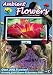 Ambient Flowers DVD - The Ultimate Video Garden & Reference DVD