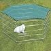 Rabbit run Enclosure with Net (962 exclusive53)