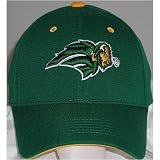 North Dakota State Bison One-Fit NCAA Wool Flex Cap (Team Color)