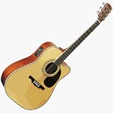 PD80SC Acoustic Electric Guitar