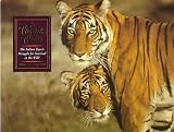 Tiger's Tale