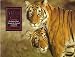 A Tiger's Tale: The Indian Tiger's Struggle for Survival in the Wild