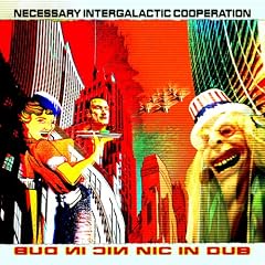 N.I.C. in Dub