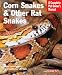 Corn Snakes & Other Rat Snakes (A Complete Pet Owner's Manual)