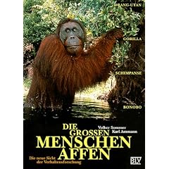 Die Grossen Menschenaffen