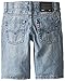 Levi's Little Boys' Denim Short