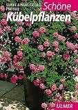 Schone Kubelpflanzen.