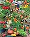 Garden Delights 1000 Piece Jigsaw Puzzle