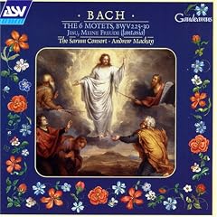 Bach The 6 Motets BWV 225 230 Sarum Consort * Mackay by Johann Sebastian Bach, Robert Quinney, Sarum Consort, Andrew Mackay, and Cecilia Osmond