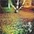���D�������R���A/Life On�E�E�E(GONE SIDE)(DVD�t)
